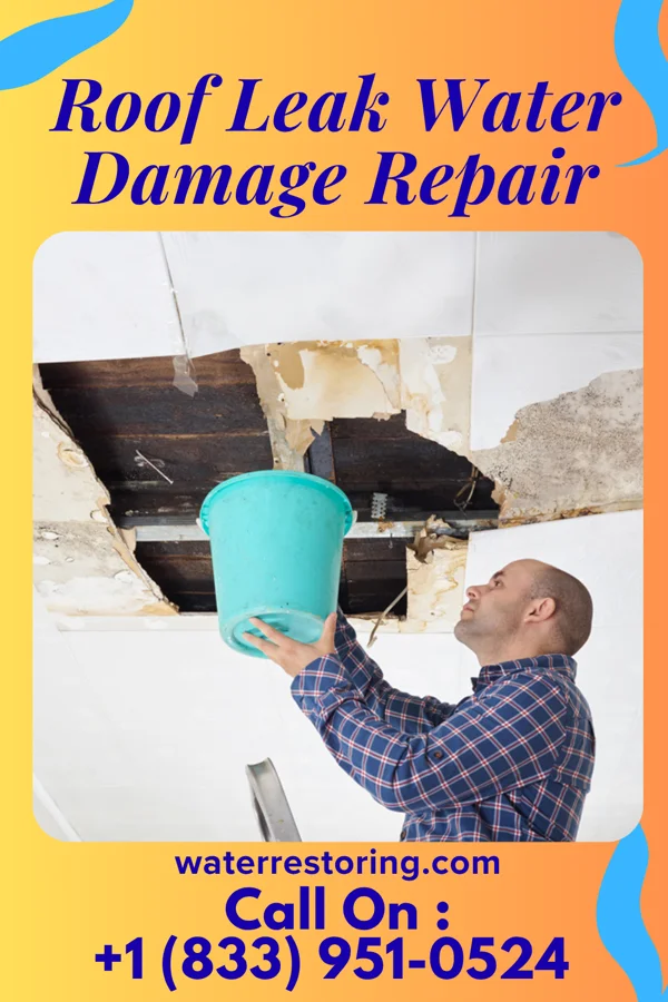 Roof Leak Water Damage Repair in Geneva, WA